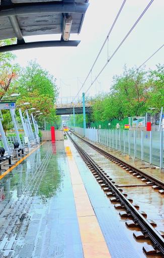 عکس سید رضی