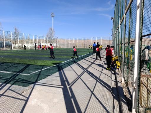 عکس زمین فوتبال گویم