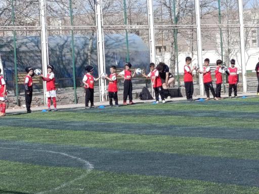 عکس زمین فوتبال گویم