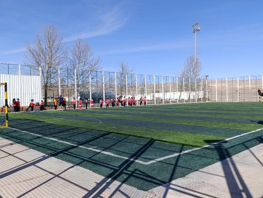 عکس زمین فوتبال گویم