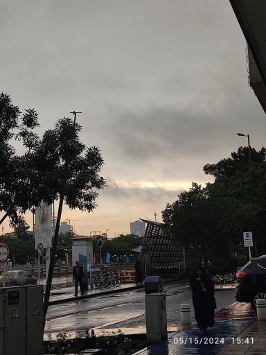 عکس سید رضی