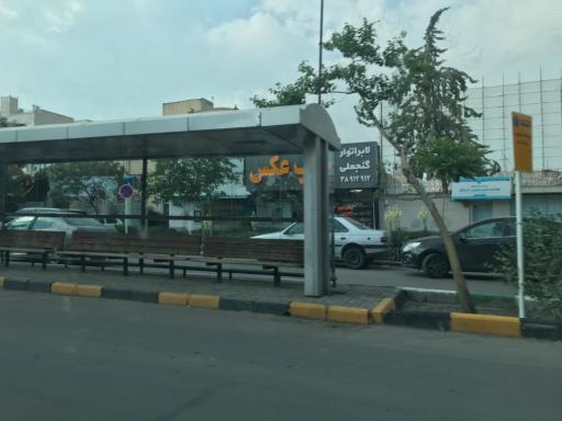 عکس  لادن