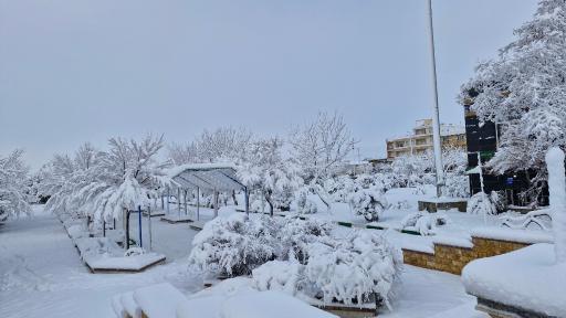 عکس فامنین
