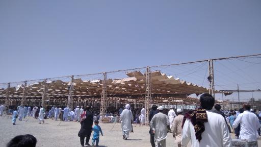 عکس مصلای بزرگ اهل سنت زاهدان