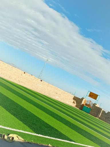 عکس چمن فوتسال سرسوره