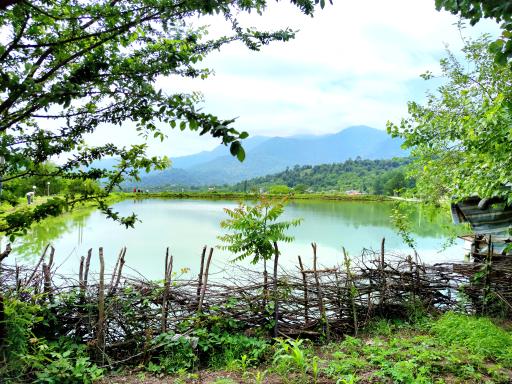 عکس استخر طبیعی مرکیه ماسال