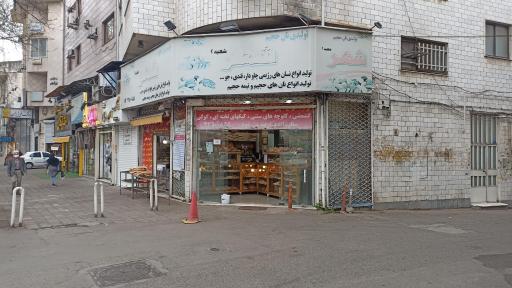 عکس نان فانتزی شهر شعبه 2