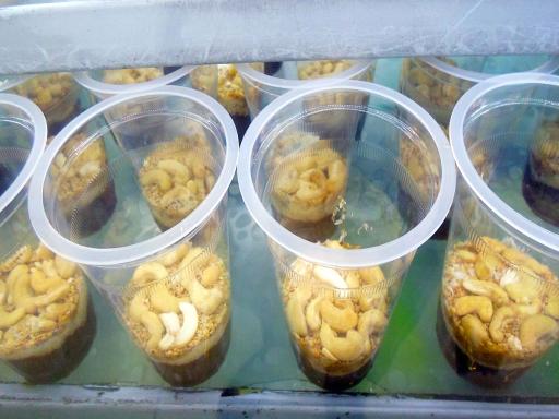 آبمیوه حسام