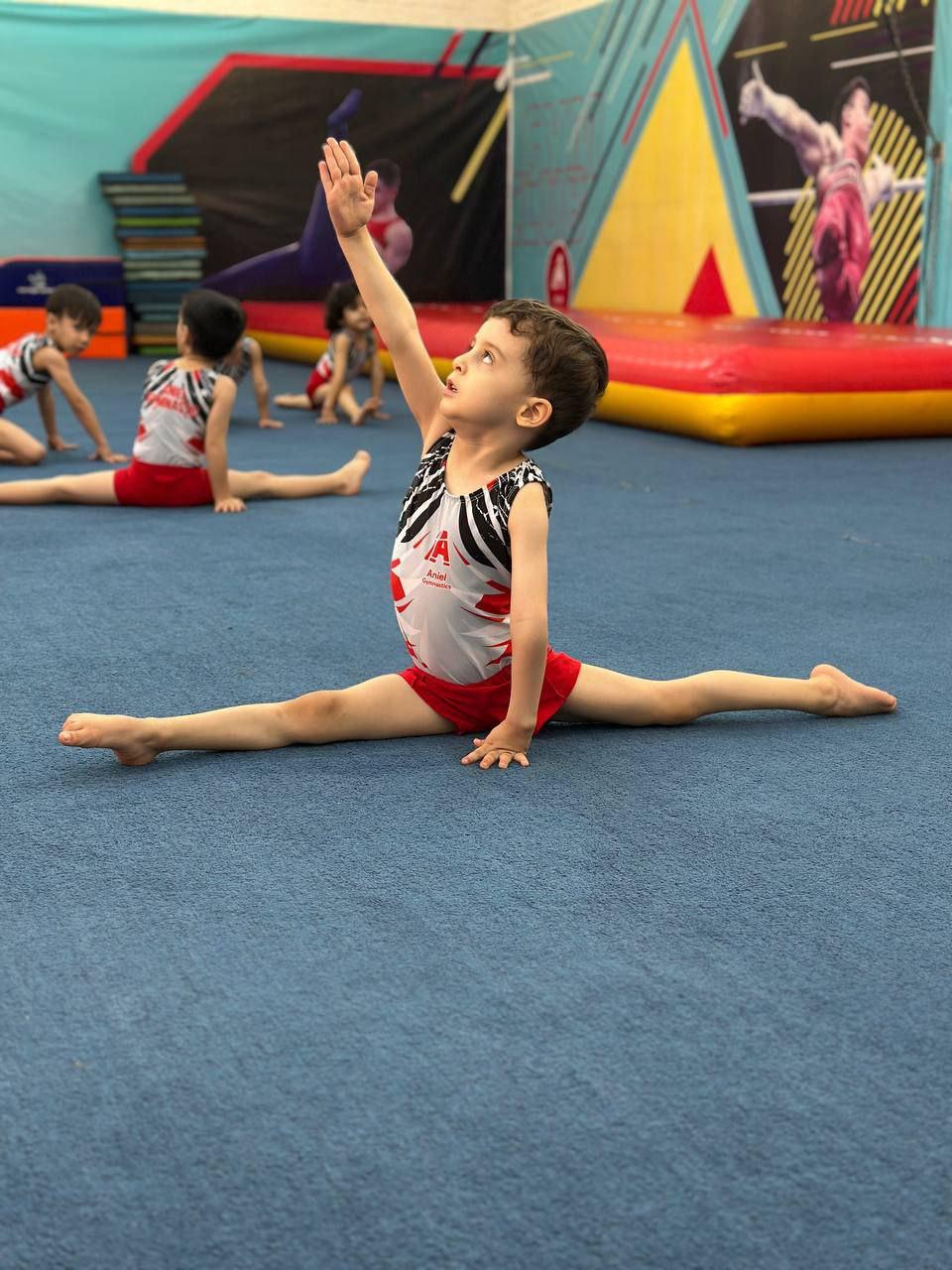 عکس باشگاه ژیمناستیک علیشاهی 