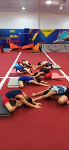 عکس باشگاه ژیمناستیک علیشاهی 