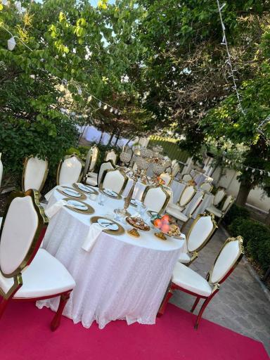 تشریفات مجالس ملل