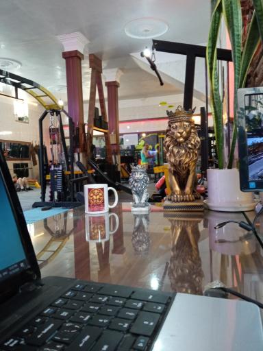 عکس باشگاه بدنسازی ستارگان