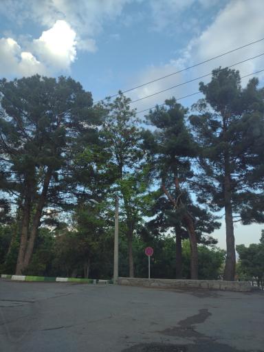 عکس مجموعه باغ ایرانی