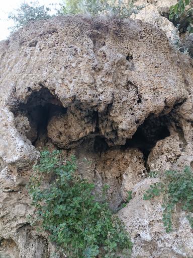 عکس آسیاب آبی نیاسر