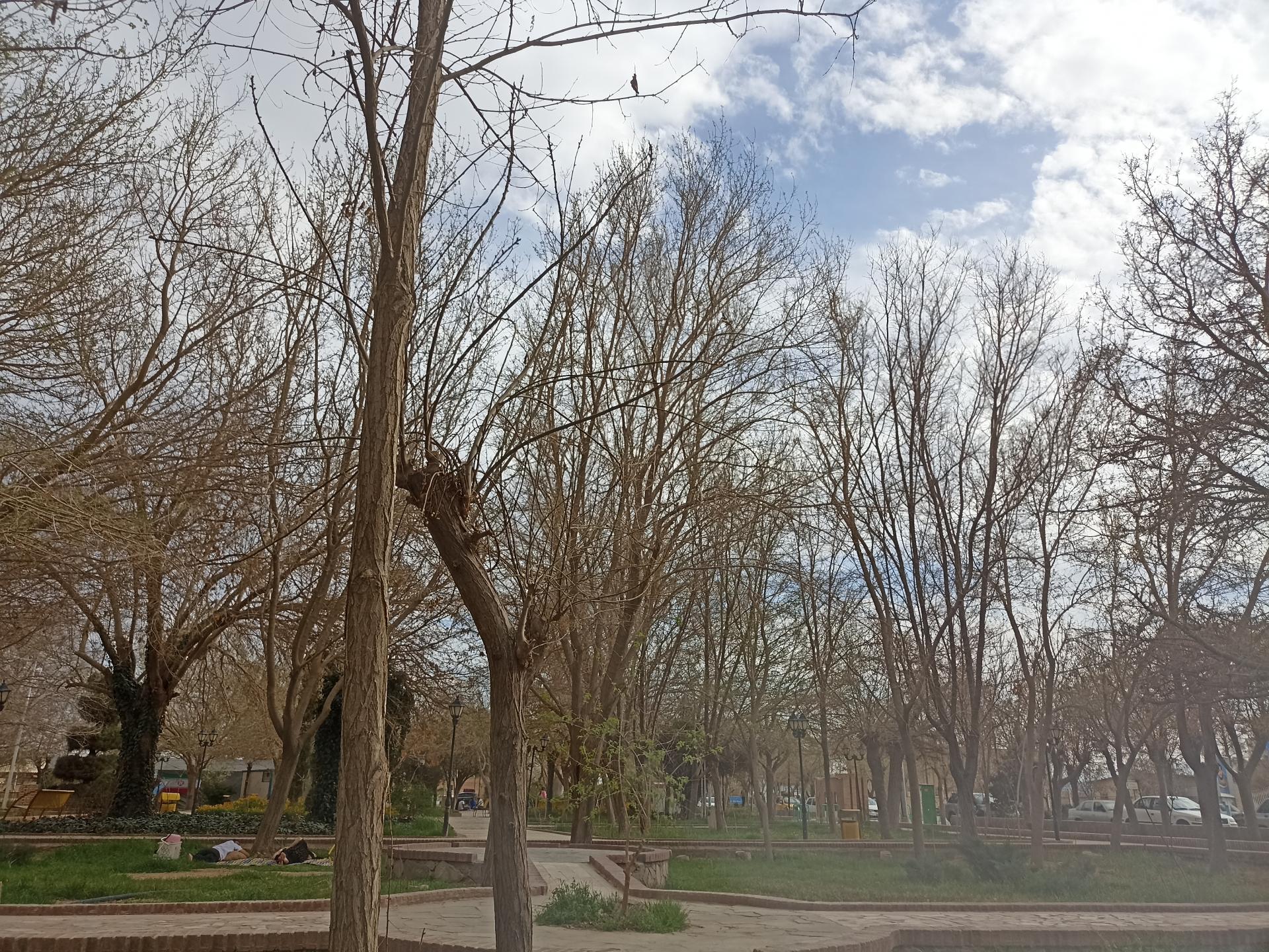 عکس پارک گلستان بشرویه