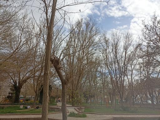 عکس پارک گلستان بشرویه