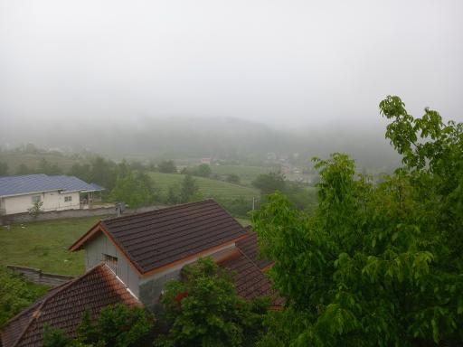 عکس توساکوتی