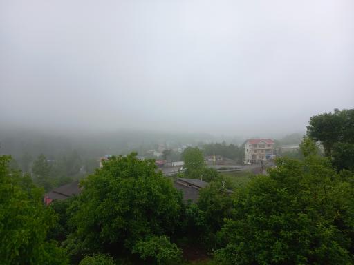 توساکوتی