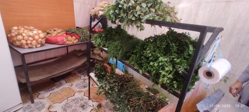 عکس سبزی فروشی دستچین