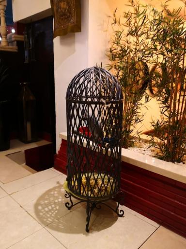 عکس رستوران هندی مهاراجه