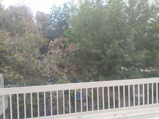 عکس خانه معلم شماره ۴ (باغ کاشفی)