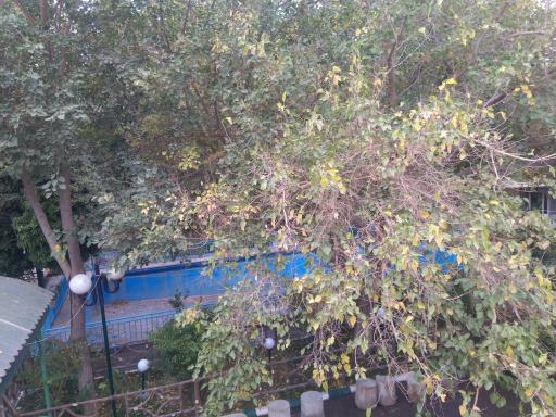 عکس خانه معلم شماره ۴ (باغ کاشفی)