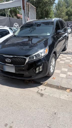 عکس اتوگالری صادق نقیبی 