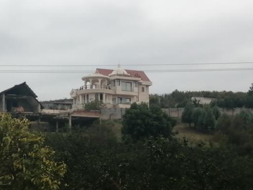 عکس توساکوتی