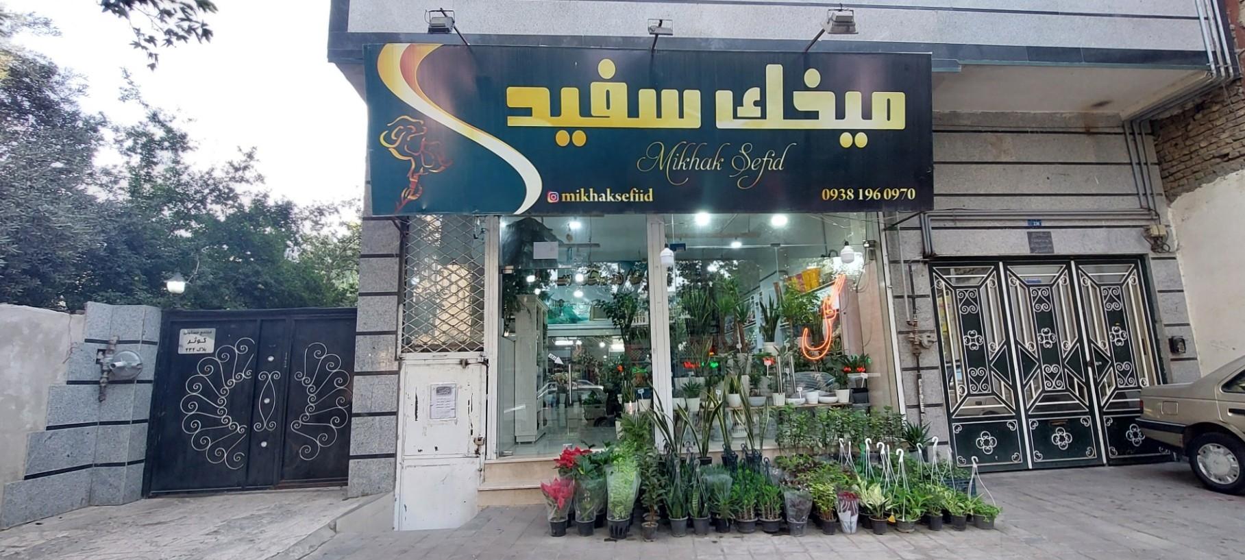 عکس گلفروشی میخک سفید