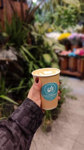 عکس مجتمع گل و گیاه گلزار بهاره