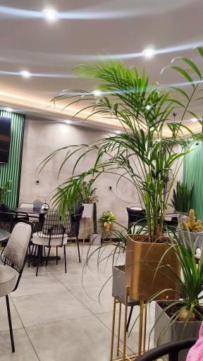 عکس مجتمع گل و گیاه گلزار بهاره