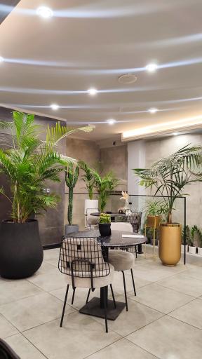 عکس مجتمع گل و گیاه گلزار بهاره