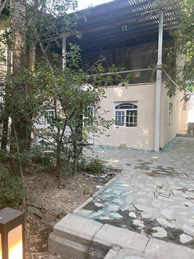 عکس باغ رستوران سعید