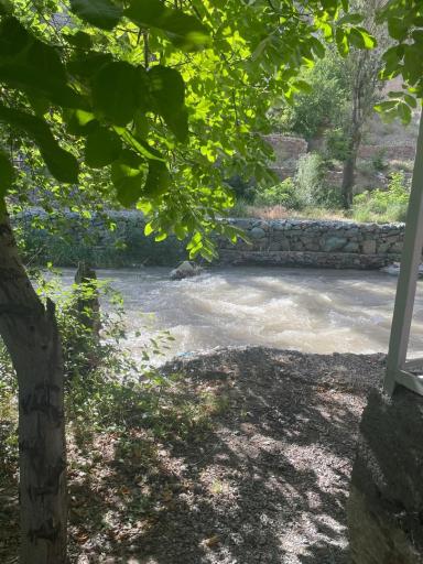 عکس باغ رستوران سعید