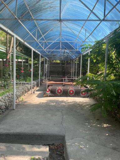 عکس باغ رستوران سعید