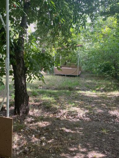 عکس باغ رستوران سعید