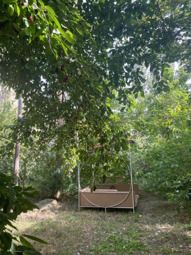 عکس باغ رستوران سعید