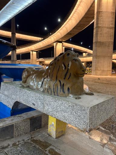 عکس تقاطع غیر همسطح چهارشیر