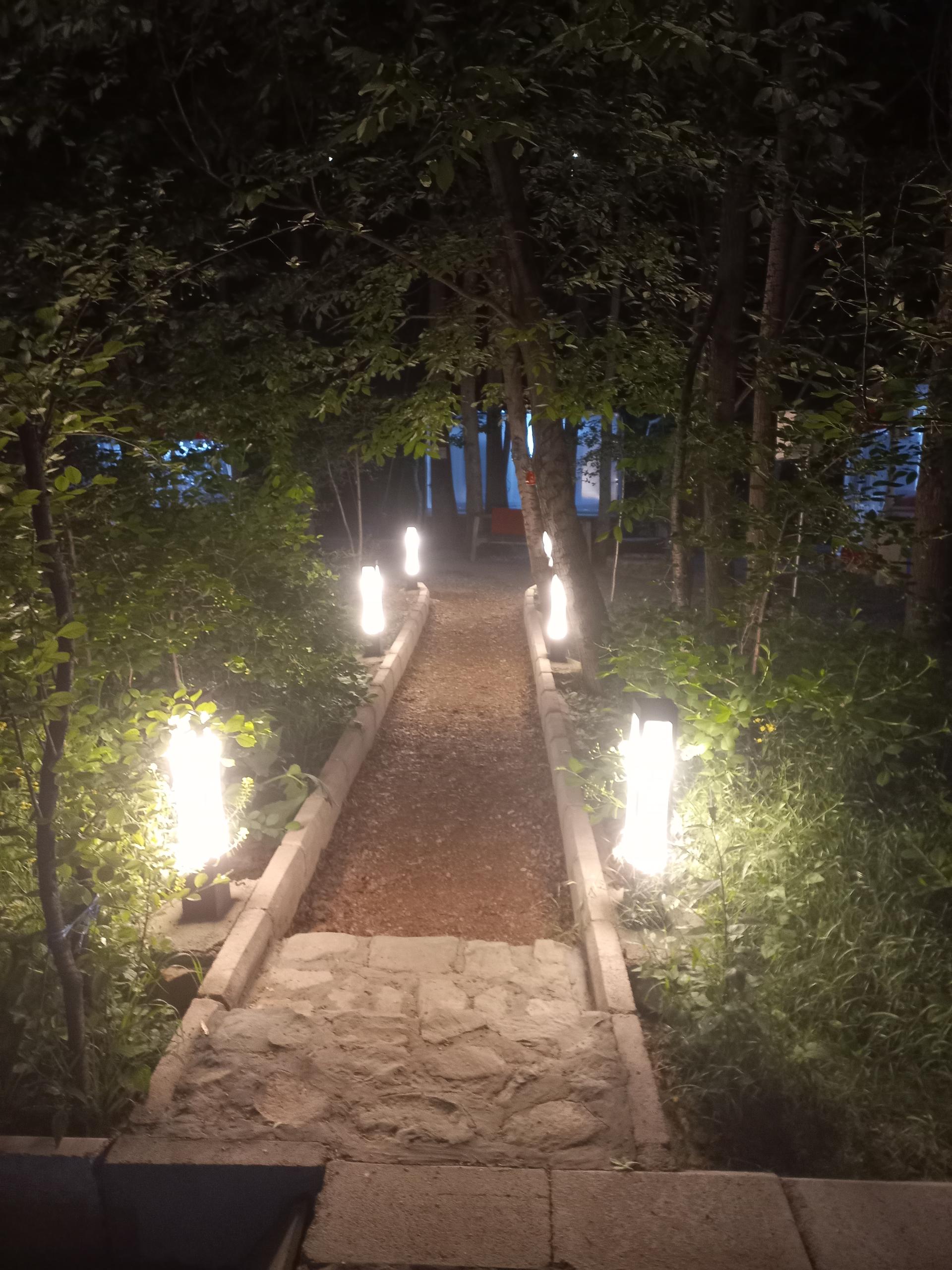 عکس باغ رستوران سعید