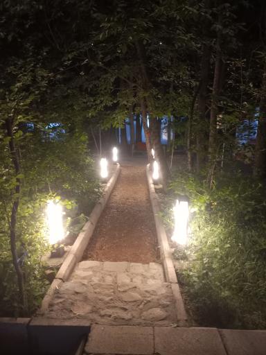 عکس باغ رستوران سعید