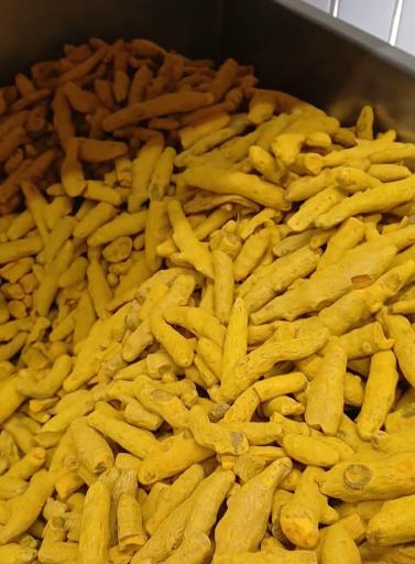 عکس عطاری طهورا