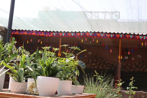 عکس کافی شاپ شبدیز 