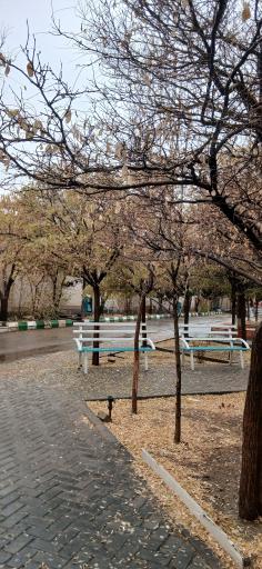 عکس دانشكده حقوق و علوم سياسي دانشگاه آزاد مشهد