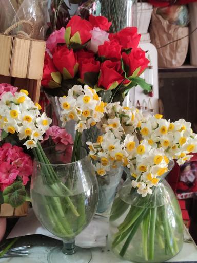 عکس گل فروشی سنبل