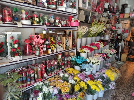 عکس گل فروشی سنبل