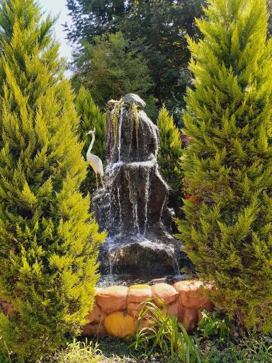 عکس رستوران و آشپزخانه لوکس طلایی