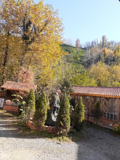 عکس رستوران و آشپزخانه لوکس طلایی