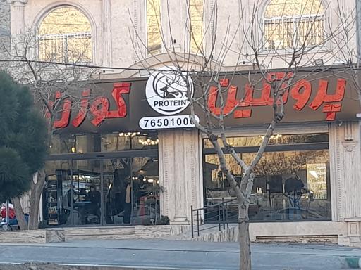 عکس پروتئین گوزن