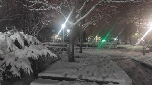 عکس پارک نیایش