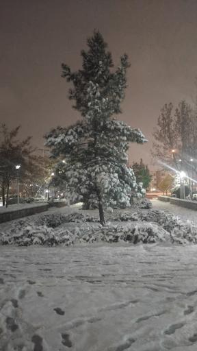 عکس پارک نیایش